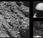 sonde Rosetta retrouvé Philae