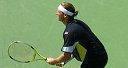 DAVID NALBANDIAN