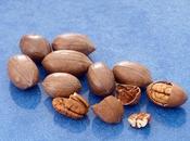 OBÉSITÉ noix pécan, super aliment