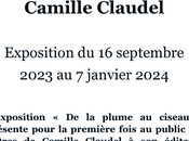 Musée Camille Claudel. plume ciseau partir Septembre 2023.