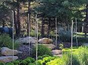 Notre meilleur Park City