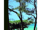 "Les Outre-mer, n’est toujours paradis d'Alain Gaba