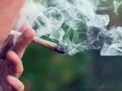 CANNABIS PASSIF perçu comme moins nocif tabagisme passif