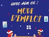 Passer Noël avec mode d’emploi Julie Perry