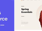 Teta Thème WordPress WooCommerce