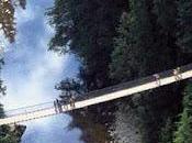 limites peur l'audace