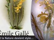 Floraine Émile Gallé Nature devient style...