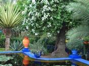 Bleu Jardin Majorelle