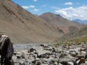 Récit trek Ladakh