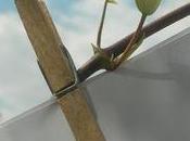 Exposition ephémère Grande Lessive"