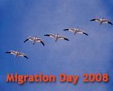 Migration 2008