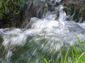 Usages domestiques l’eau pluie Nouvelle réglementation prévention risques sanitaires