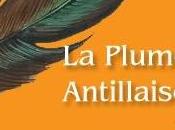 plume antillaise