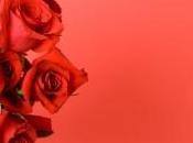 Deux portes défoncées pour offrir fleurs