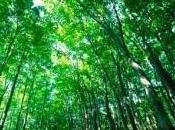 mystère piano retrouvé fond bois