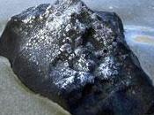 Fragments retrouvés météorite canadienne novembre