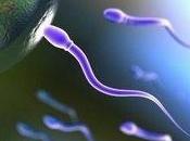 Comment améliorer qualité sperme