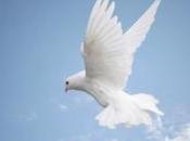 orgasme mondial pour Paix