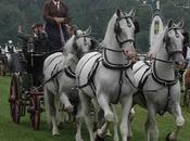 cheval tchèque Kladruby, Kladruber