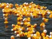 NASA recherche canards plastique