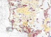 Palestine situation Cisjordanie
