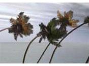 2008 battu records catastrophes naturelles