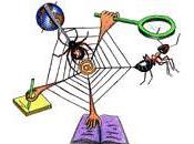 Agrégation avec Linux