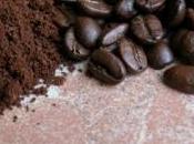marc café transformé biocarburant