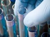 cellules souches foetus utilisées pour soigner