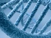 mécanisme génétique simple pour expliquer l'origine espèces