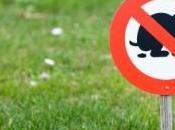 L'ADN chiens nouvelle arme contre excréments dans lieux publics