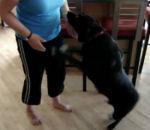 Pourvu qu'elle chante cette chanson