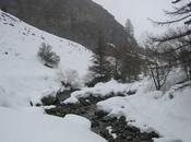 Randos raquettes dans Hautes-Alpes (05)