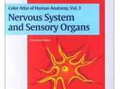 Collection Anatomie Nervous System Sensory Organs