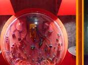 bijoux accessoires dans arrondissement