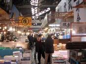 Marché poisson Tsukiji