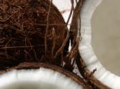 singe propriétaire avec noix coco