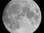 échantillons Lune étudiés Poitiers