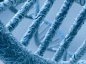 justice allemande incapable juger deux frères jumeaux