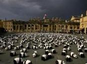 L'opération 1600 pandas investit Lyon