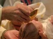 petit Norvégien baptisé cola