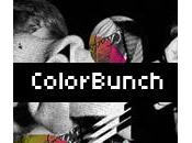 Zoom Colorbunch, portfolio Philipp Schilling