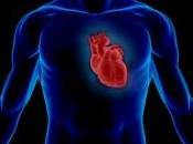 coeur humain, capable renouveler cellules