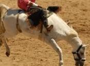 garçon vole voiture parcourt kilomètres