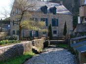 Fougères Bretagne (5/7)