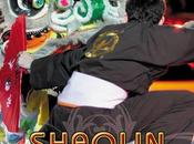 Shaolin nuit 2009