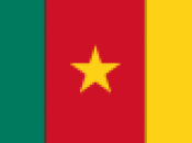 Cameroun tension prix manuels scolaires