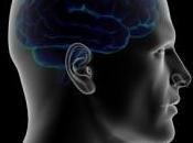 L'hippocampe zone cerveau nous aide être rationnel face l'incertitude