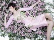 Séance photos pour chrysanthèmes