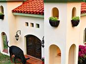 Image jour Niches luxueuses